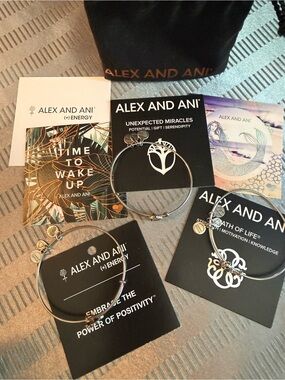 Alex and Ani slider bracelets bundle - path of life, acorn, hand of farms